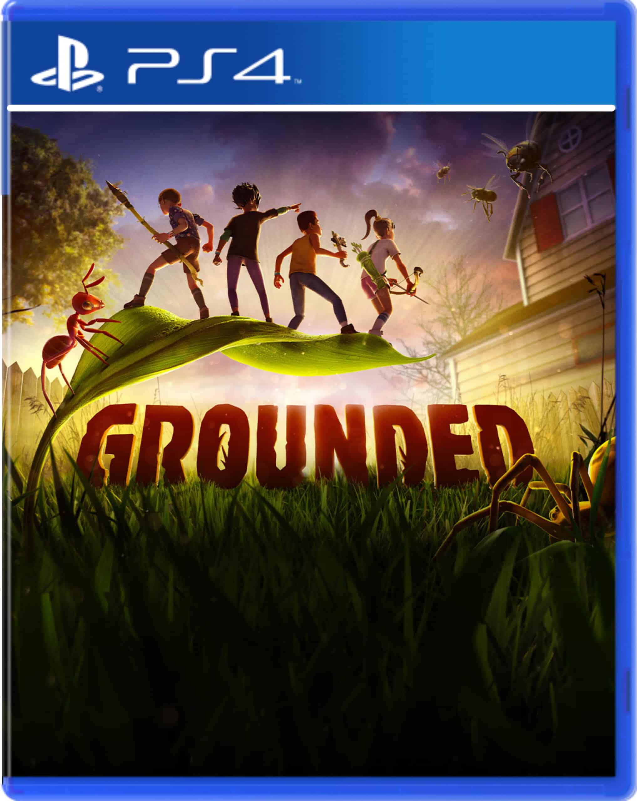 Grounded Digital PS4