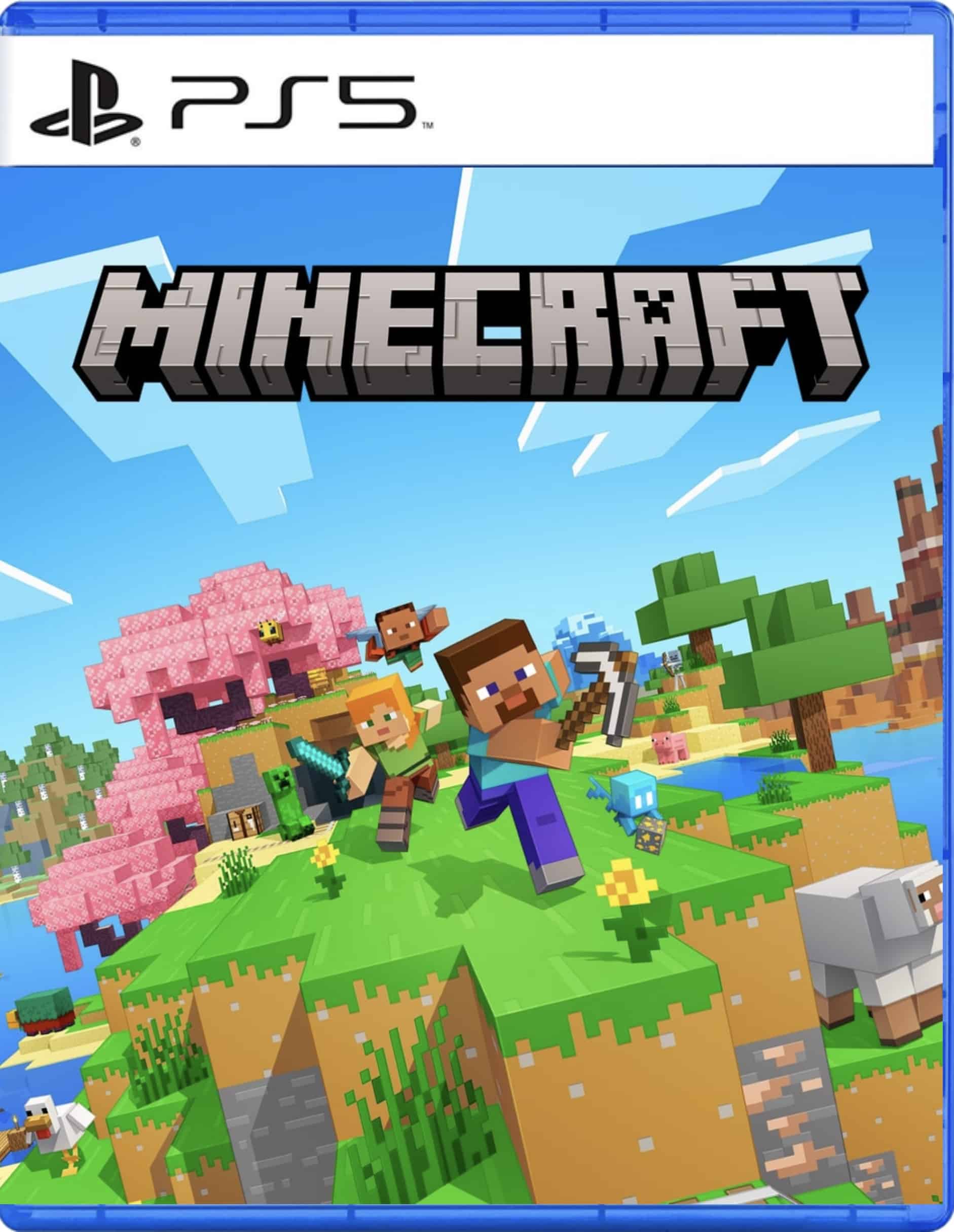 Minecraft Digital PS5